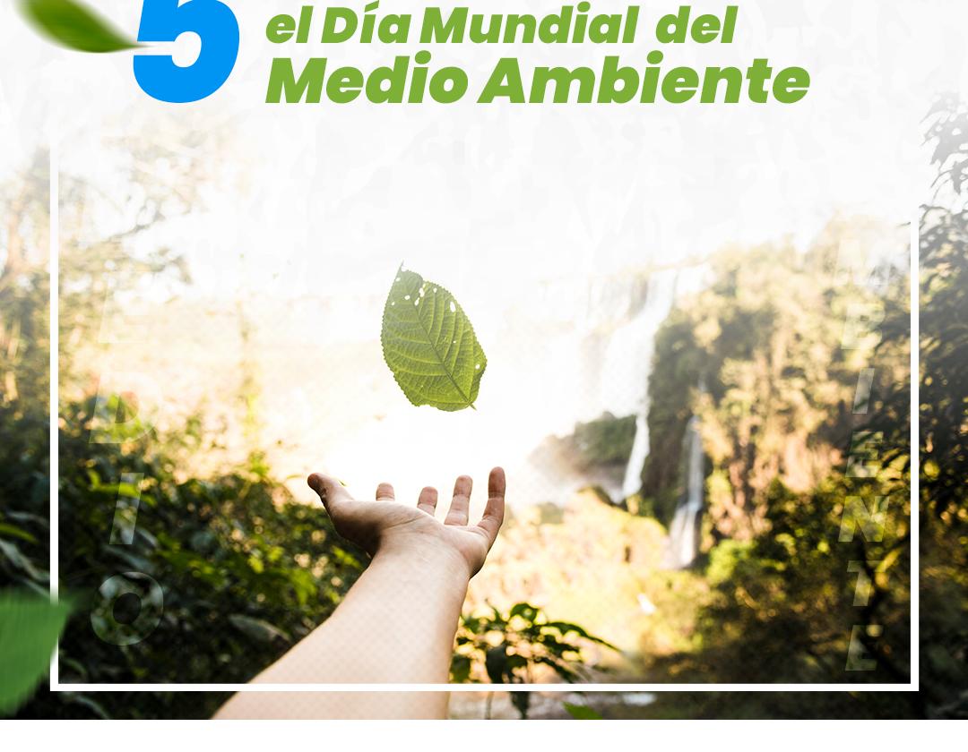 noticia