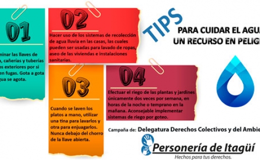 noticia