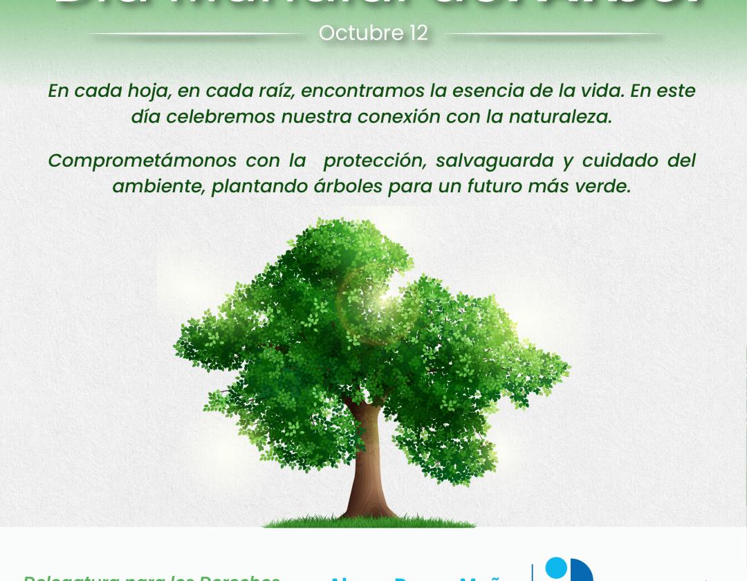 noticia